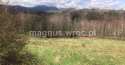 Działki na sprzedaż, Olszyniec