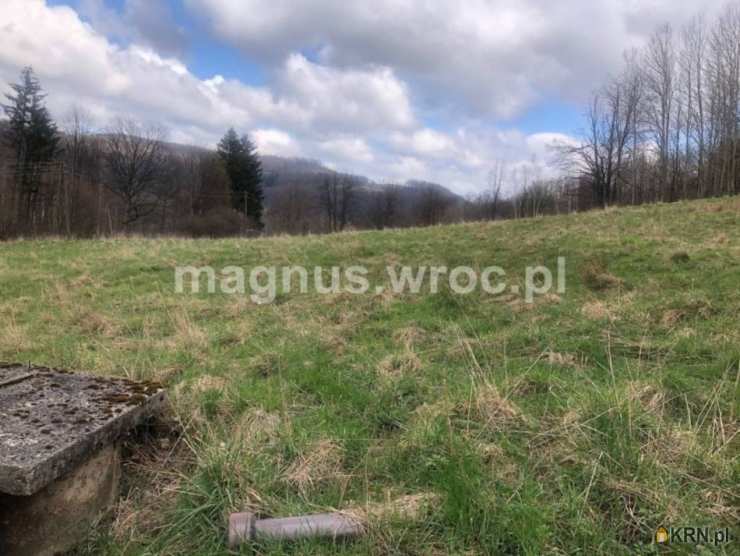 Działki  na sprzedaż, Olszyniec, ul. , 