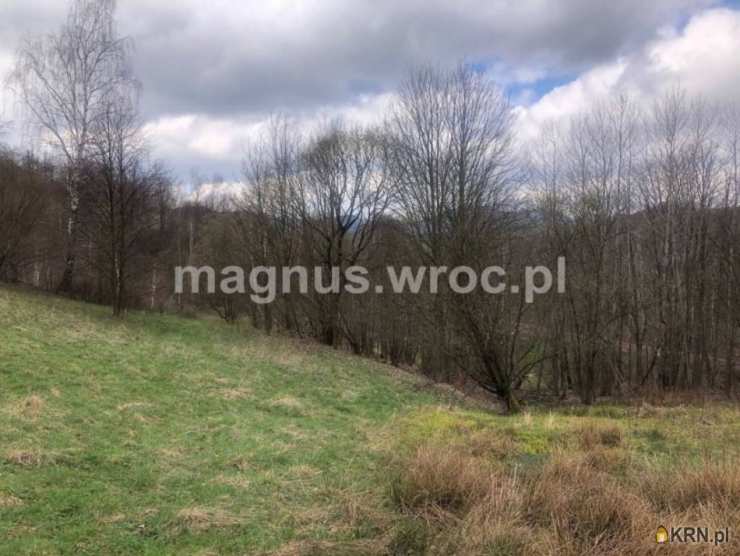 Olszyniec, ul. , , Działki  na sprzedaż