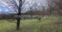 Działki na sprzedaż, Olszyniec