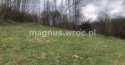Działki na sprzedaż, Olszyniec