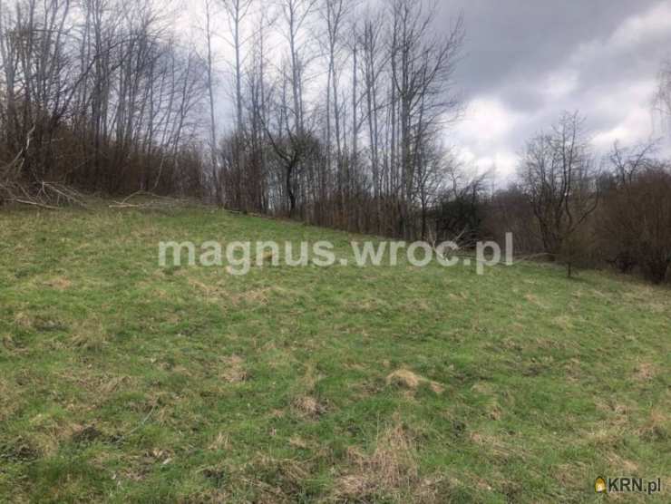 , Działki  na sprzedaż, Olszyniec, ul. 