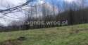 Działki na sprzedaż, Olszyniec