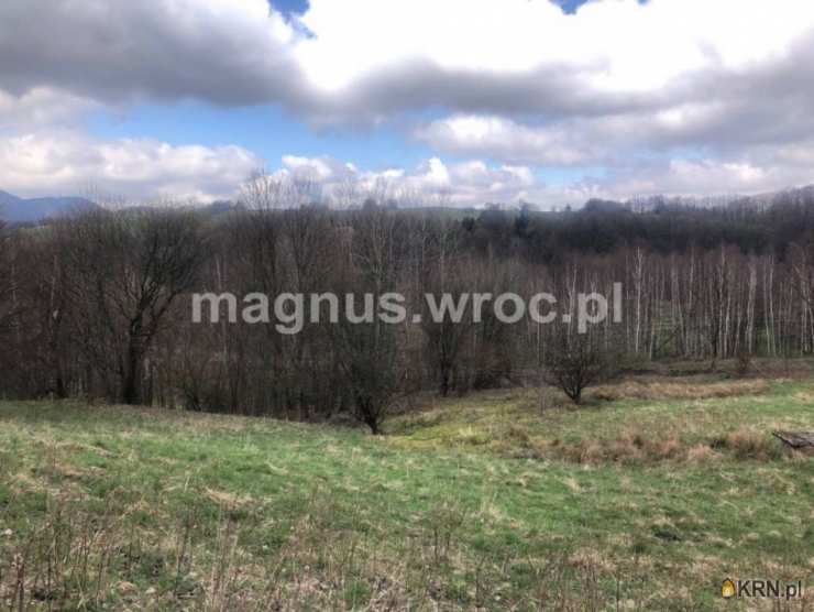 Działki  na sprzedaż, , Olszyniec, ul. 