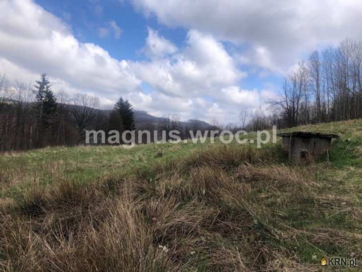 Olszyniec, ul. , Działki  na sprzedaż, 