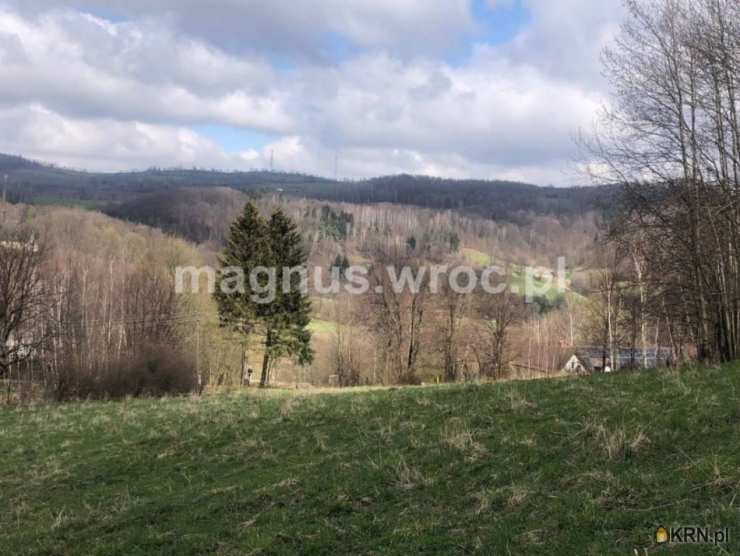 Olszyniec, ul. , , Działki  na sprzedaż