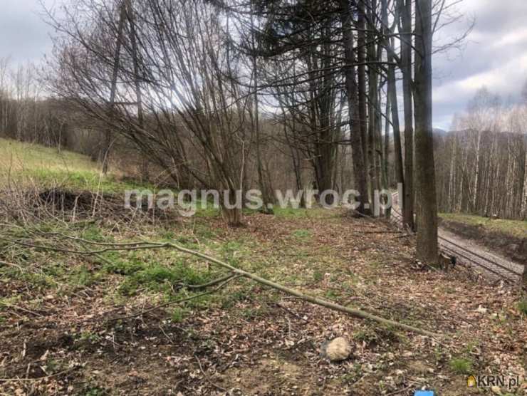 , Olszyniec, ul. , Działki  na sprzedaż