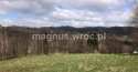 Działki na sprzedaż, Olszyniec