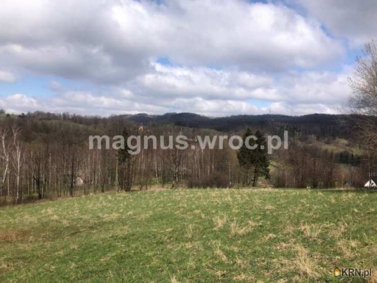 Działki  na sprzedaż, , Olszyniec, ul. 