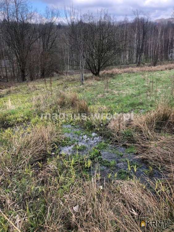 Olszyniec, ul. , Działki  na sprzedaż, 