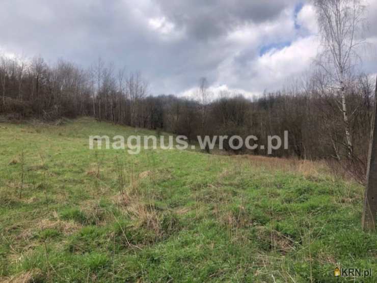 Olszyniec, ul. , , Działki  na sprzedaż