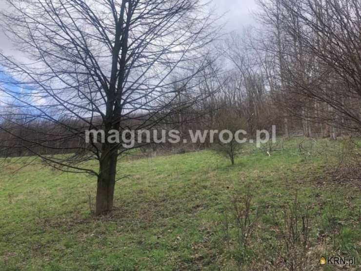 , Działki  na sprzedaż, Olszyniec, ul. 