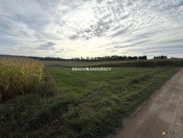 Działki  na sprzedaż, Karniowice, ul. Kwiatowa, 
