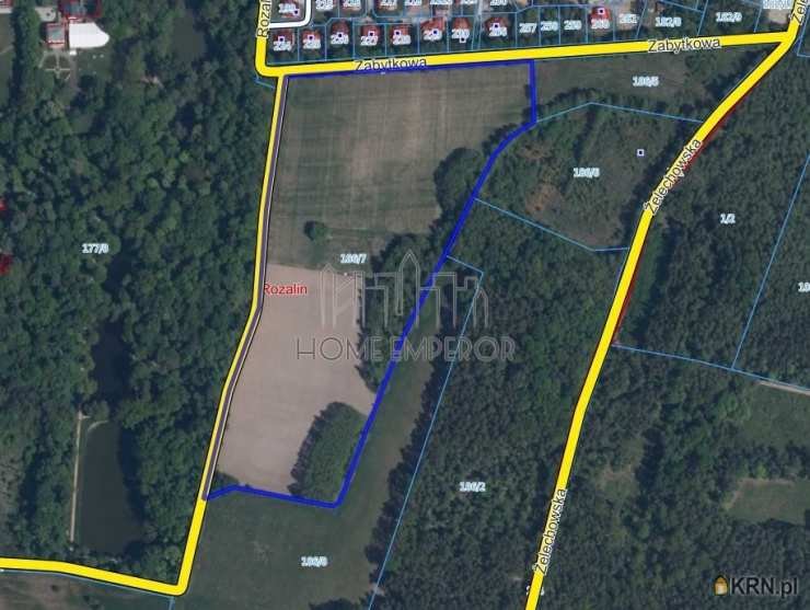 Rozalin, ul. Zabytkowa, Działki  na sprzedaż, 