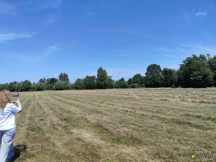 Drążno-Holendry, ul. , Działki  na sprzedaż, 