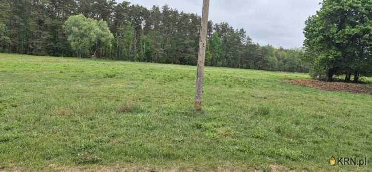 Działki  na sprzedaż, Kałęczyn, ul. , 