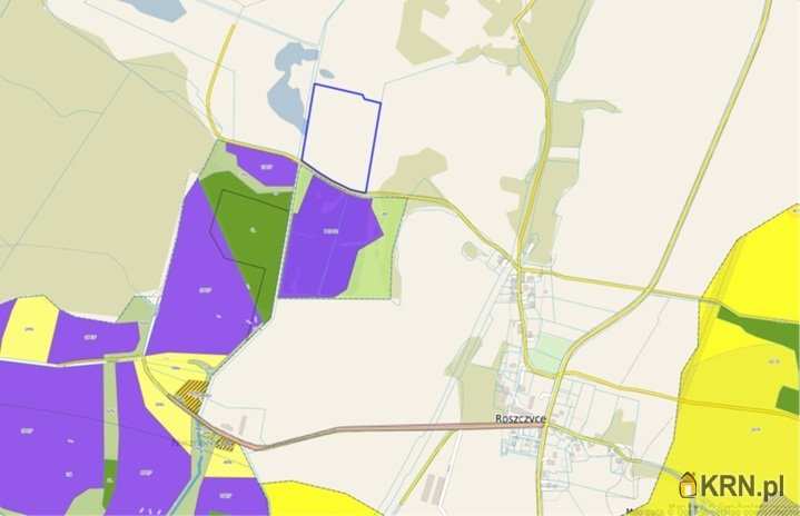 Działki  na sprzedaż, Roszczyce, ul. , 