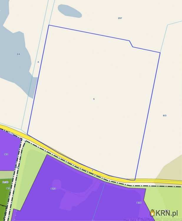 Działki  na sprzedaż, , Roszczyce, ul. 