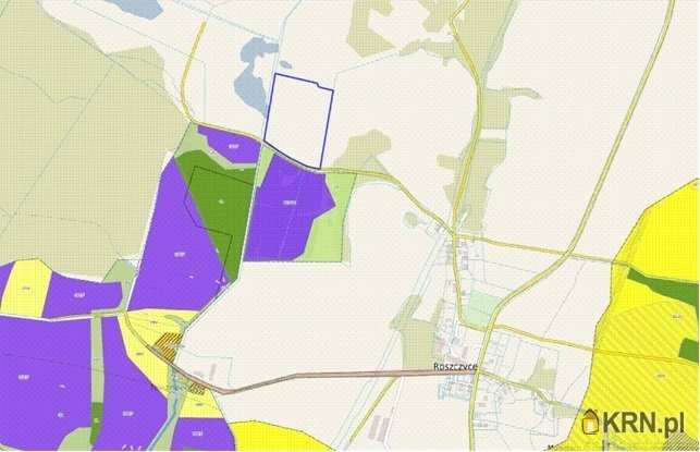 Działki  na sprzedaż, Roszczyce, ul. , 