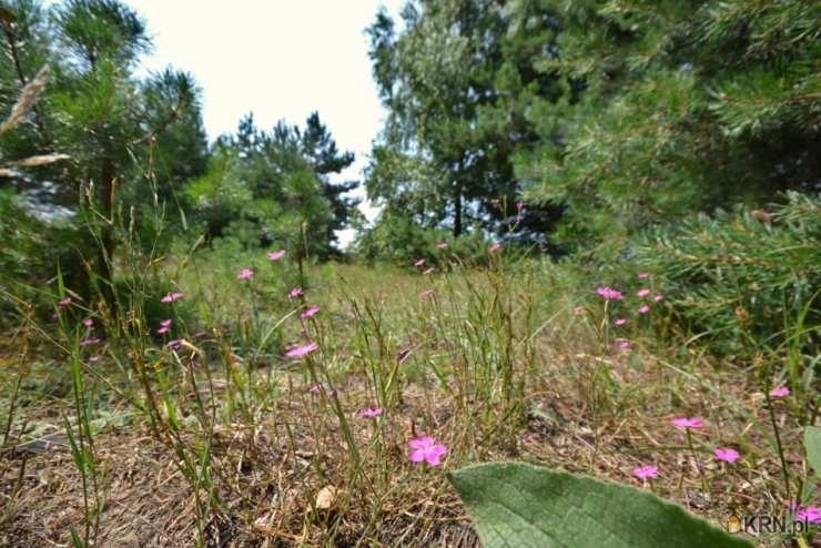 Działki  na sprzedaż, , Biskupice, ul. 