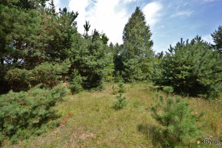 , Biskupice, ul. , Działki  na sprzedaż