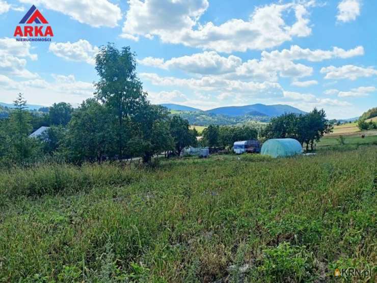 Biuro Nieruchomości ARKA, Działki  na sprzedaż, Wilkowisko, ul. 