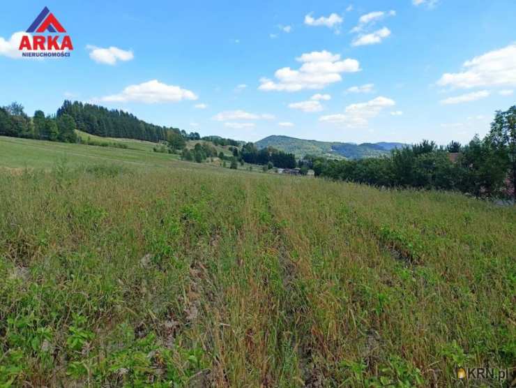 Działki  na sprzedaż, Wilkowisko, ul. , 