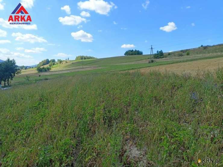 Działki  na sprzedaż, , Wilkowisko, ul. 