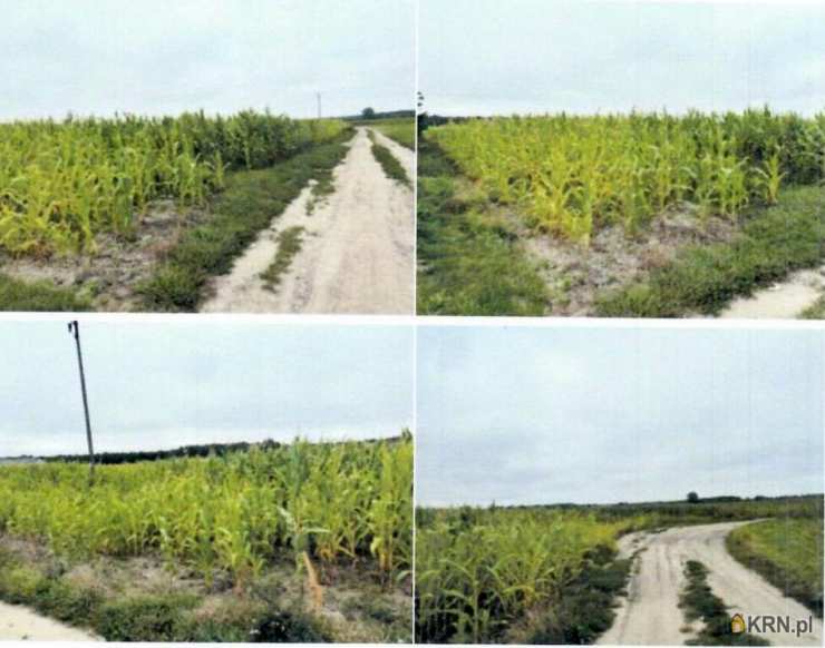 Działki  na sprzedaż, Świerczynek, ul. , 