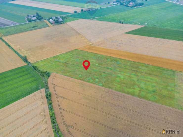 Działki  na sprzedaż, Dominowo, ul. , 