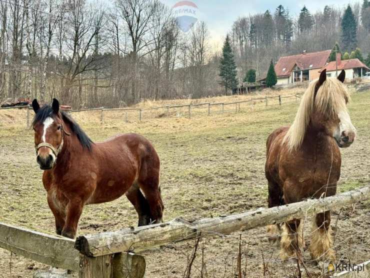 Działki  na sprzedaż, Wisła, ul. , 
