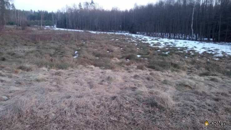 Działki  na sprzedaż, Dziechno, ul. , 