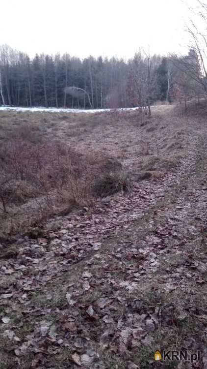 Działki  na sprzedaż, , Dziechno, ul. 