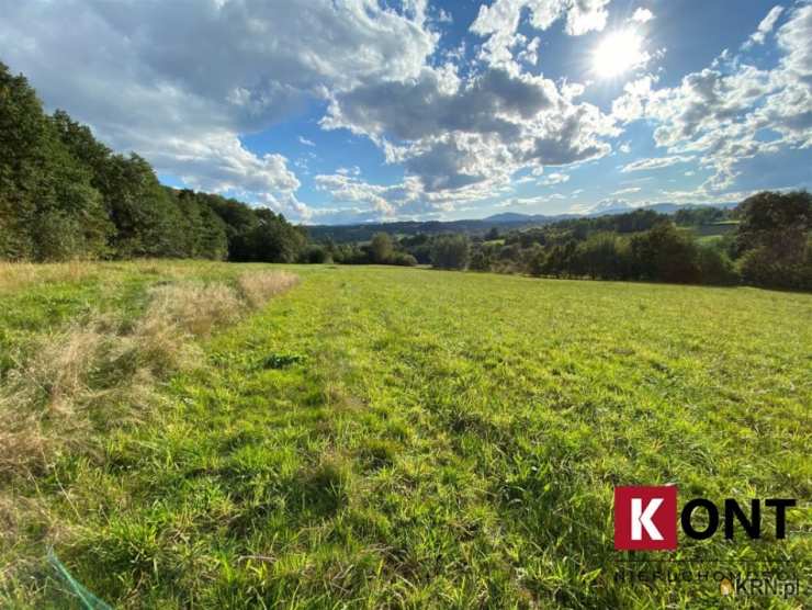 Działki  na sprzedaż, Lubomierz, ul. , 