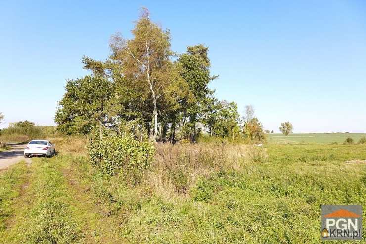 Działki  na sprzedaż, , Trzebieszewo, ul. 