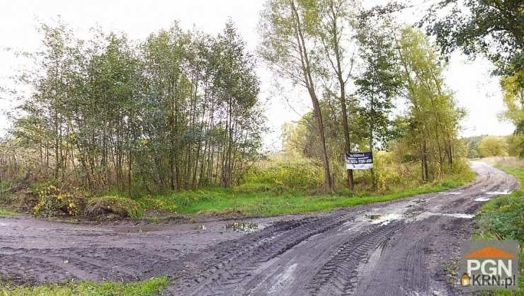 Trzebieszewo, ul. , Działki  na sprzedaż, 