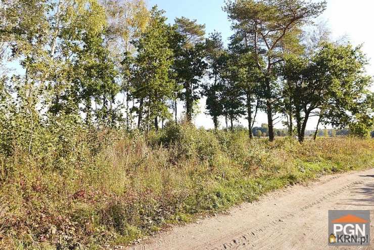 Trzebieszewo, ul. , , Działki  na sprzedaż