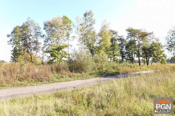 Działki  na sprzedaż, Trzebieszewo, ul. , 