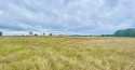 Działki na sprzedaż, Gryfice