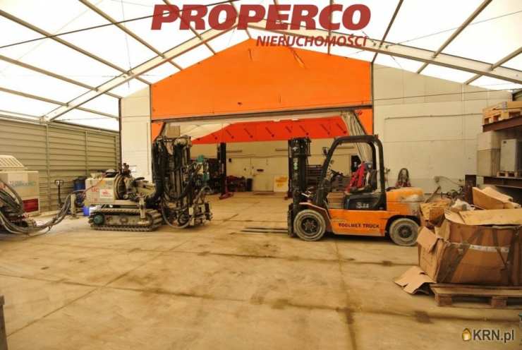 Działki  do wynajęcia, , Sokołów, ul. 