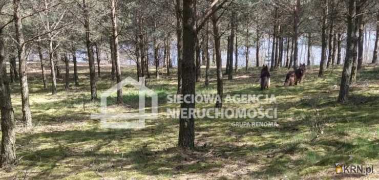 , Działki  na sprzedaż, Nierostowo, ul. 