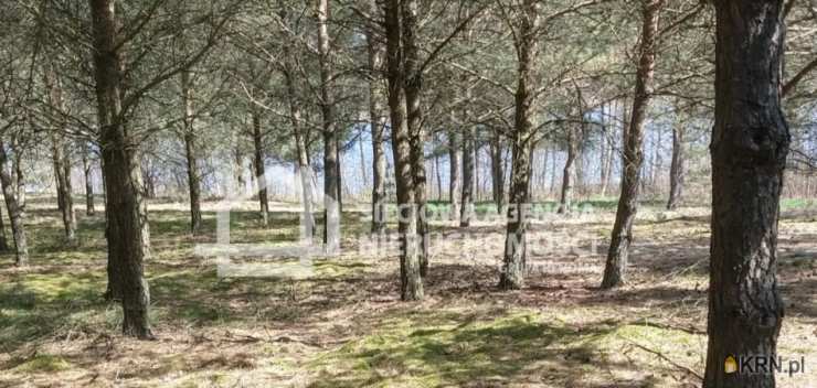 Sieciowa Agencja Nieruchomości Grupa Renoma, Działki  na sprzedaż, Nierostowo, ul. 