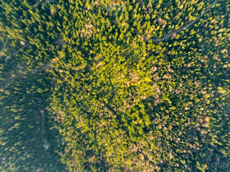 Ostrowsko, ul. , Działki  na sprzedaż, 