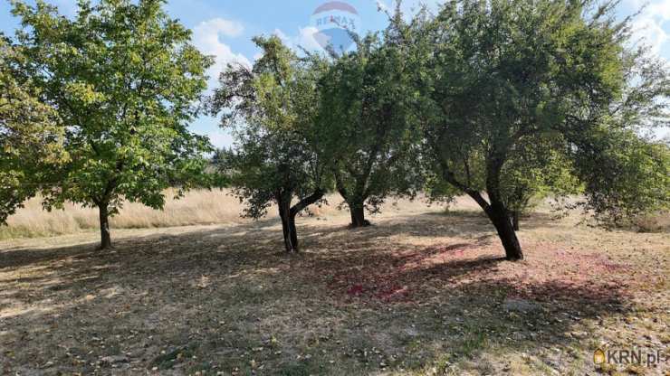 , Działki  na sprzedaż, Świdnik Duży, ul. 