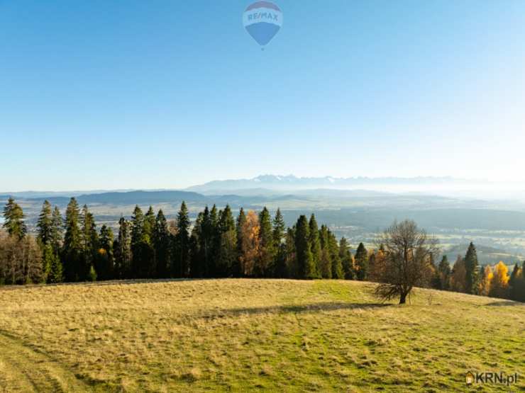 Działki  na sprzedaż, , Knurów, ul. 
