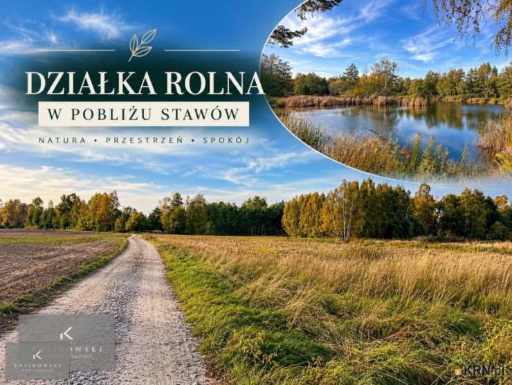 Działki  na sprzedaż, Nowa Wieś, ul. , 