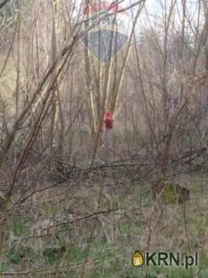 Działki  na sprzedaż, , Radom, ul. 