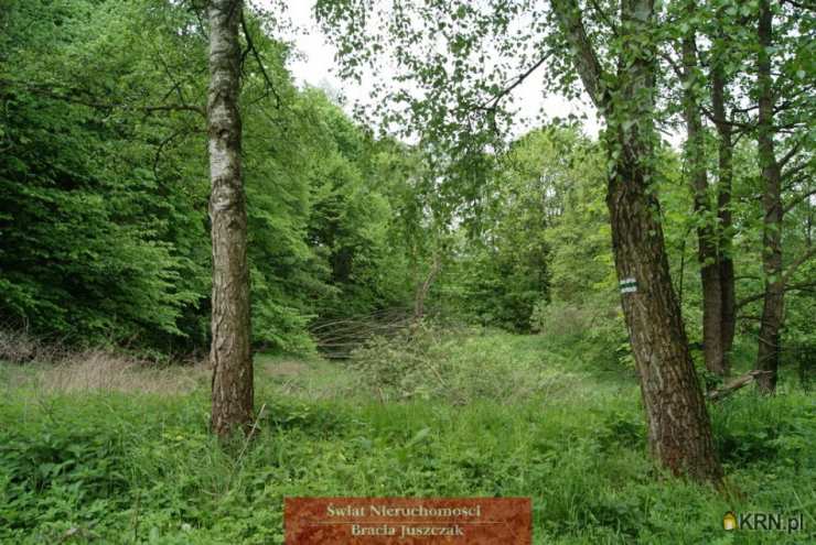 , Działki  na sprzedaż, Romanów, ul. 