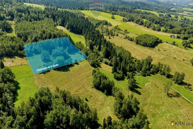 Działki  na sprzedaż, , Sieniawa, ul. 