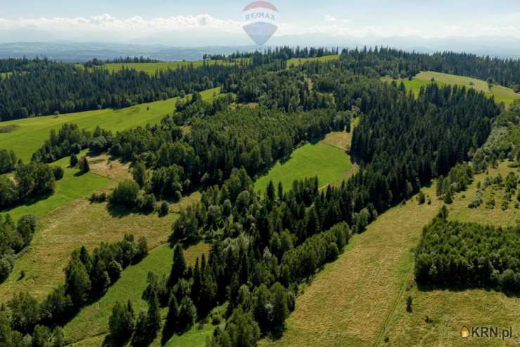 Sieniawa, ul. , Działki  na sprzedaż, 